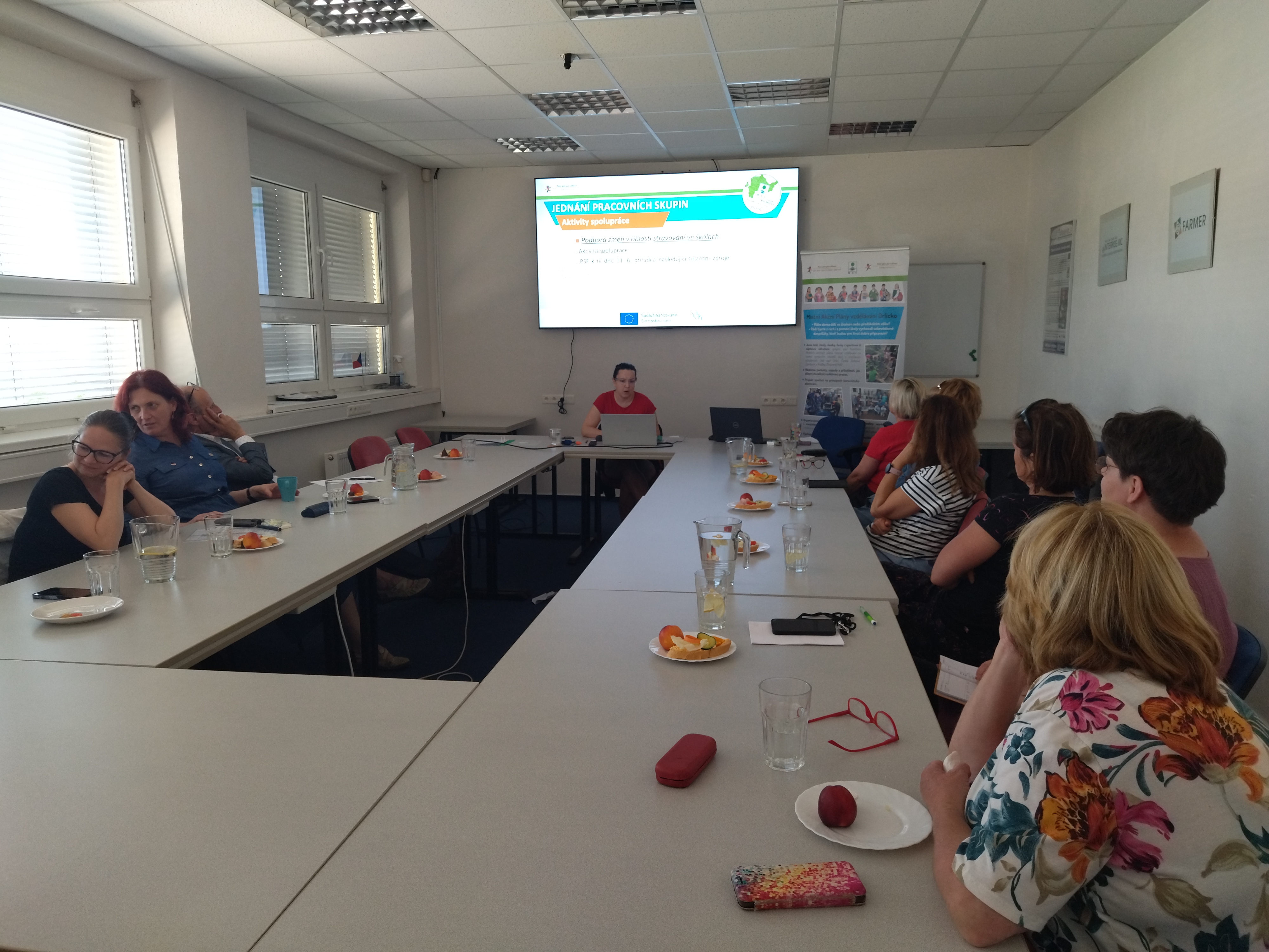 Jednání odborných pracovních skupin (ŽA_KR)