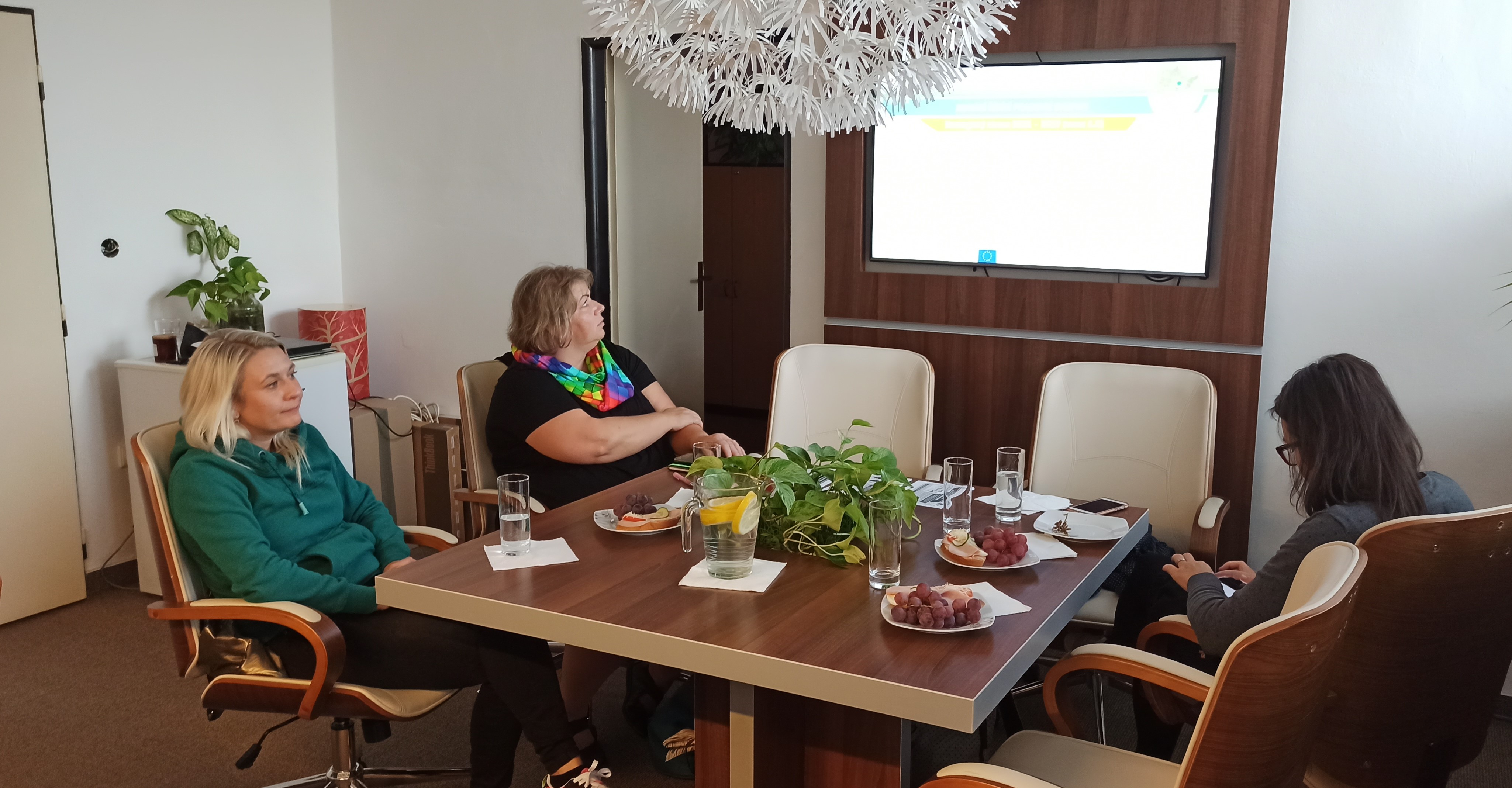 Jednání Řídící pracovní skupiny (ÚO_ČT)