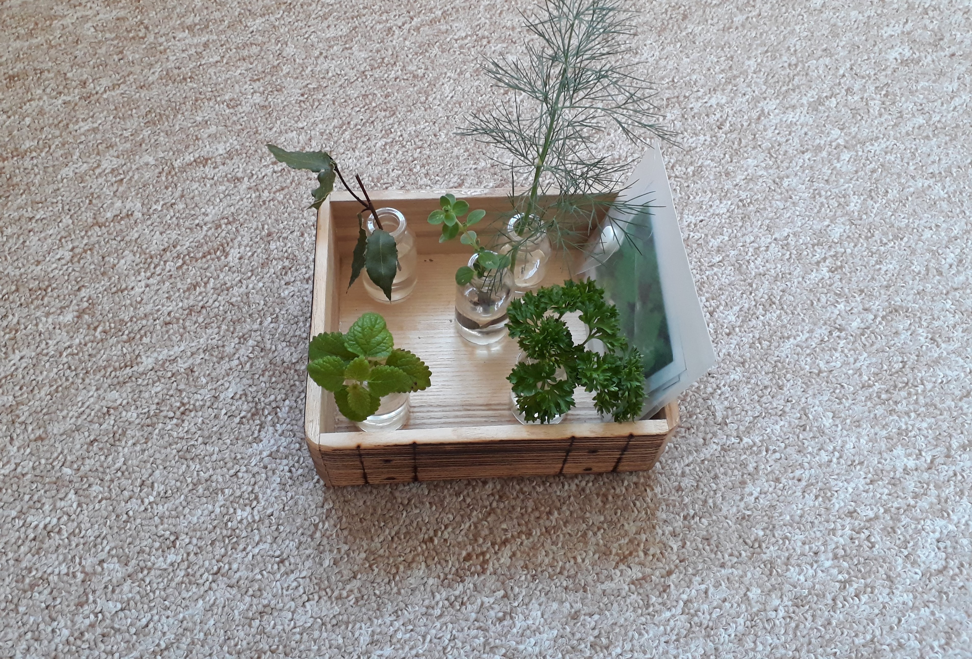 Odborná stáž ELIPSA Montessori centrum Pardubice