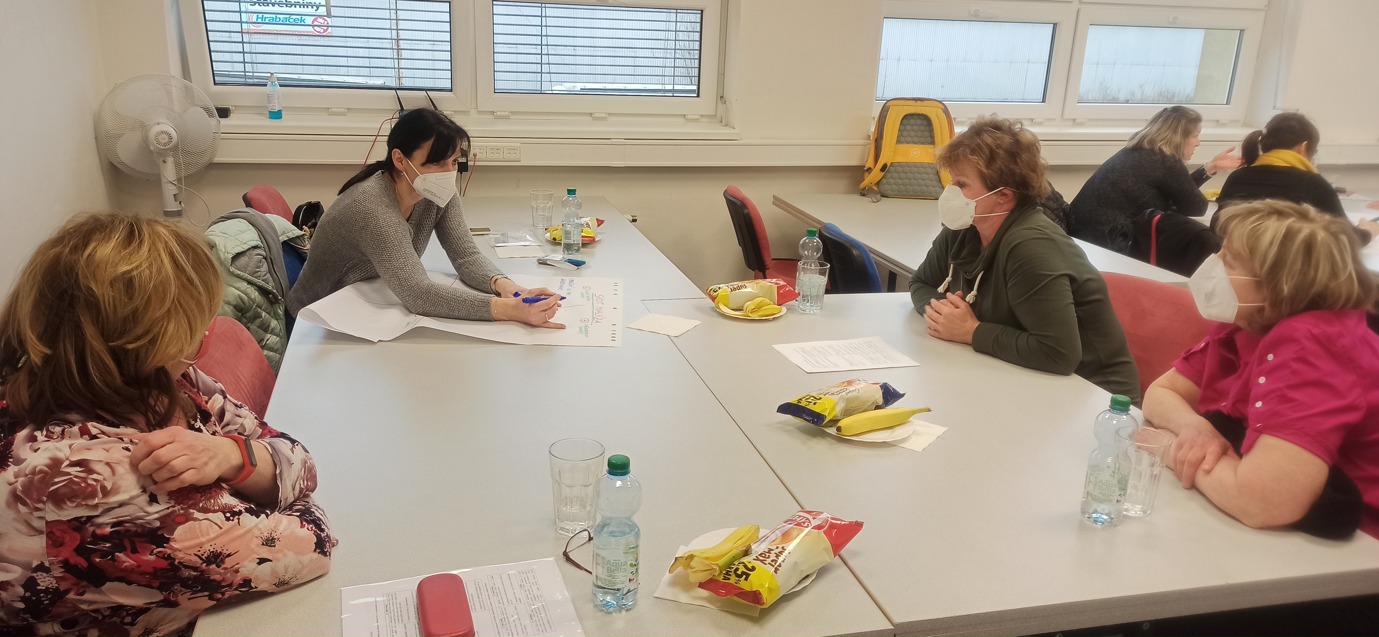 Společné distanční jednání pracovních skupin (ŽA_KR) 