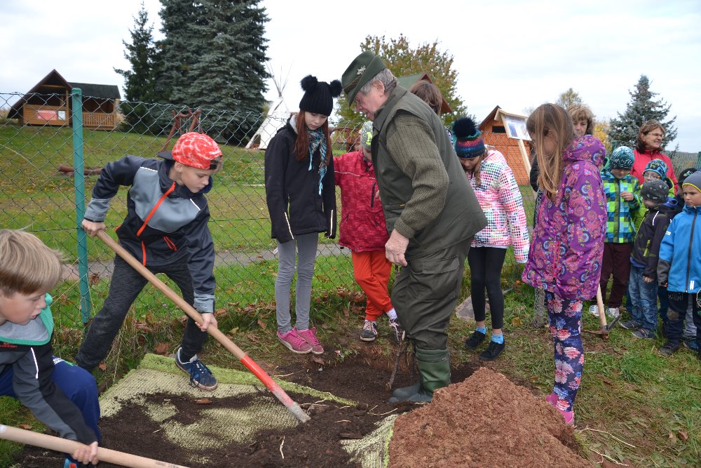 Příklad dobré praxe - Základní škola a Mateřská škola Písečná; Projekt: Cesta dřeva